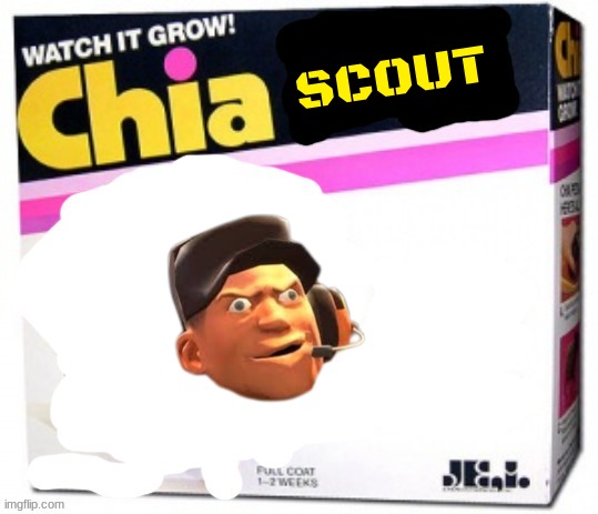 rejected chia pets volume 3 | SCOUT | image tagged in chia pet blank,tf2,fake,rejected | made w/ Imgflip meme maker