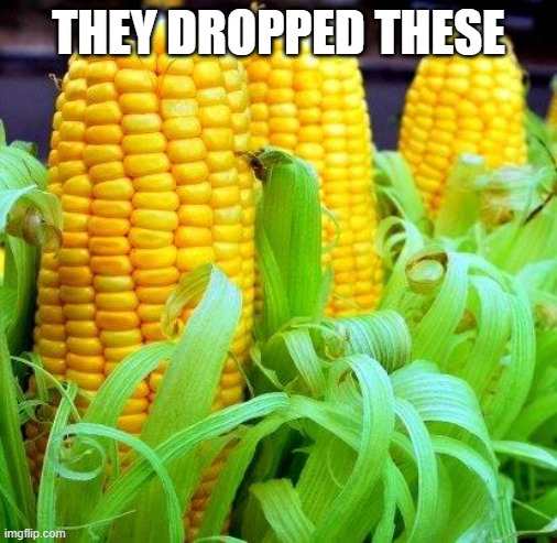 CORN meme | THEY DROPPED THESE | image tagged in corn meme | made w/ Imgflip meme maker