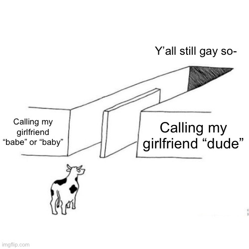 D: | Y’all still gay so-; Calling my girlfriend “babe” or “baby”; Calling my girlfriend “dude” | image tagged in the illusion of free choice blank | made w/ Imgflip meme maker