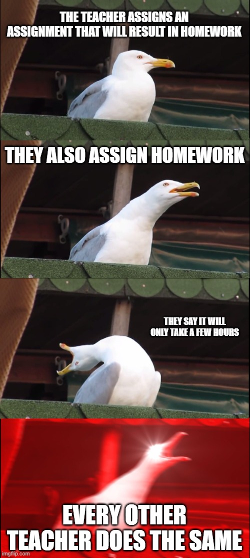 thus i panick | THE TEACHER ASSIGNS AN ASSIGNMENT THAT WILL RESULT IN HOMEWORK; THEY ALSO ASSIGN HOMEWORK; THEY SAY IT WILL ONLY TAKE A FEW HOURS; EVERY OTHER TEACHER DOES THE SAME | image tagged in memes,inhaling seagull,homework | made w/ Imgflip meme maker