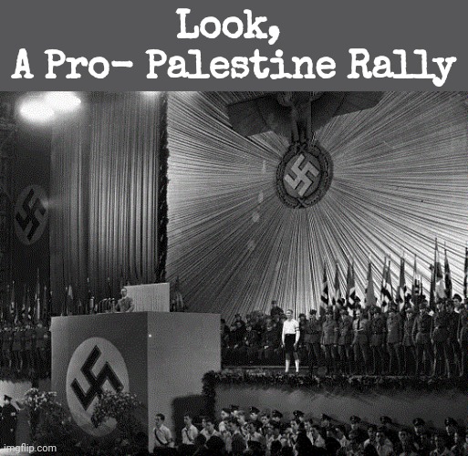 Look,  A Pro- Palestine Rally | Look, 
A Pro- Palestine Rally | image tagged in look a pro- palestine rally | made w/ Imgflip meme maker