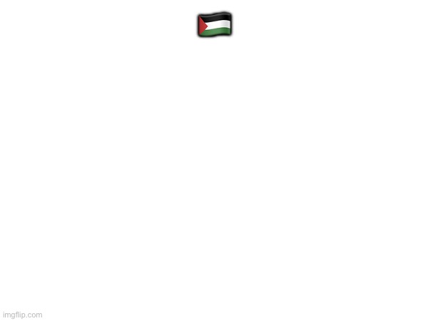 🇵🇸 | made w/ Imgflip meme maker