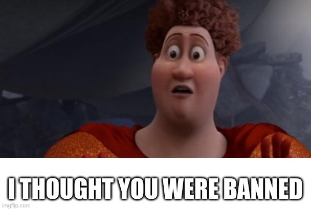 I thought you were dead | I THOUGHT YOU WERE BANNED | image tagged in i thought you were dead | made w/ Imgflip meme maker