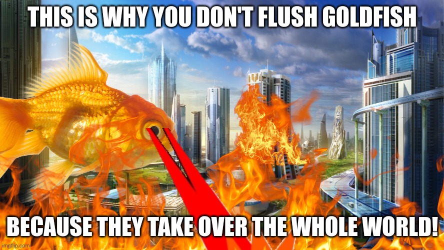 This is why you don't flush goldfish! | THIS IS WHY YOU DON'T FLUSH GOLDFISH; BECAUSE THEY TAKE OVER THE WHOLE WORLD! | image tagged in futuristic city,goldfish,world,take over | made w/ Imgflip meme maker