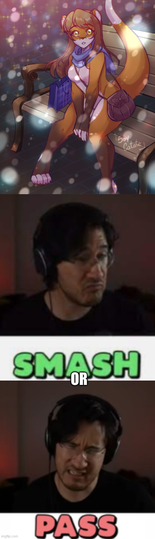 Smash or pass Blank Meme Template