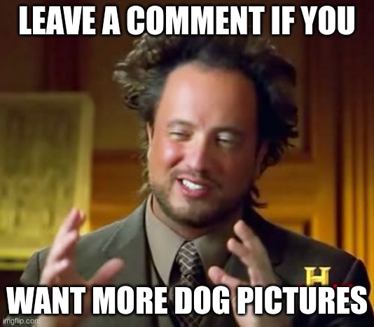 :) | LEAVE A COMMENT IF YOU; WANT MORE DOG PICTURES | image tagged in memes,ancient aliens | made w/ Imgflip meme maker