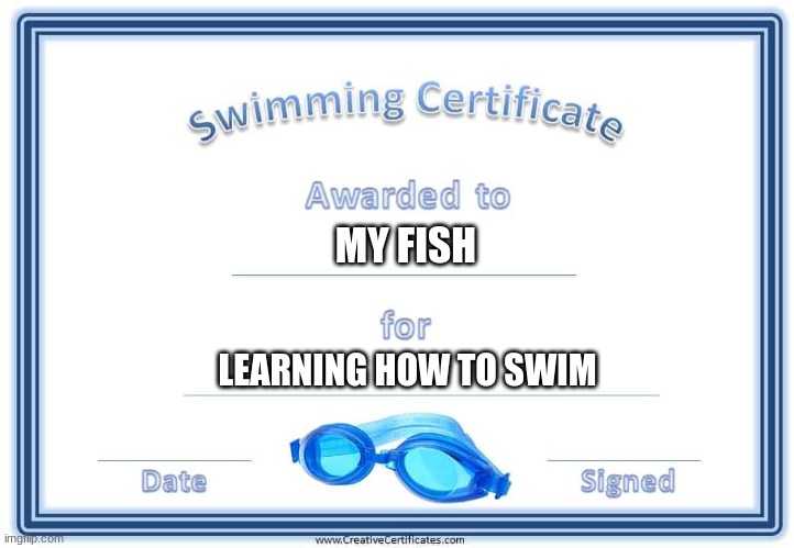 MY FISH; LEARNING HOW TO SWIM | made w/ Imgflip meme maker