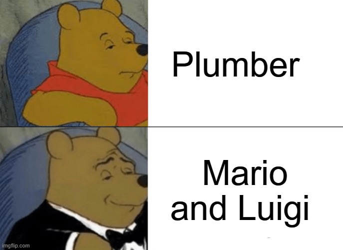 Queston mark block | Plumber; Mario and Luigi | image tagged in memes,tuxedo winnie the pooh | made w/ Imgflip meme maker