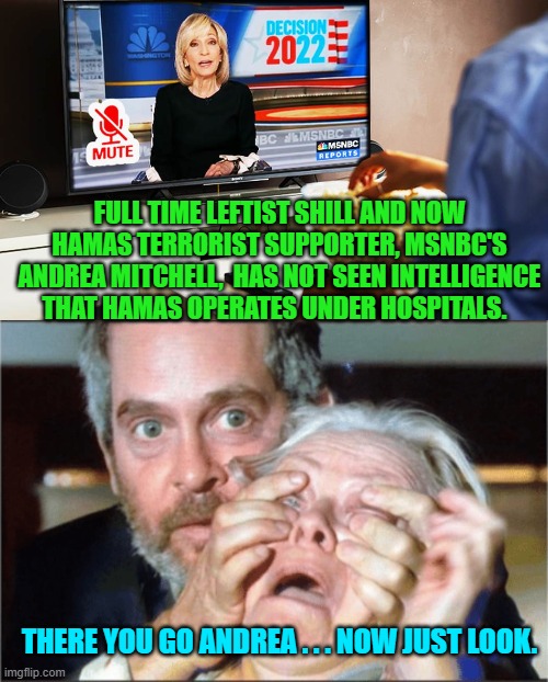 It's fascinating that these media wonks really do think that the average citizen is stupid. | FULL TIME LEFTIST SHILL AND NOW HAMAS TERRORIST SUPPORTER, MSNBC'S ANDREA MITCHELL,  HAS NOT SEEN INTELLIGENCE THAT HAMAS OPERATES UNDER HOSPITALS. THERE YOU GO ANDREA . . . NOW JUST LOOK. | image tagged in yep | made w/ Imgflip meme maker