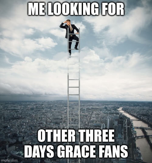 can't find any :/ | ME LOOKING FOR; OTHER THREE DAYS GRACE FANS | image tagged in searching | made w/ Imgflip meme maker