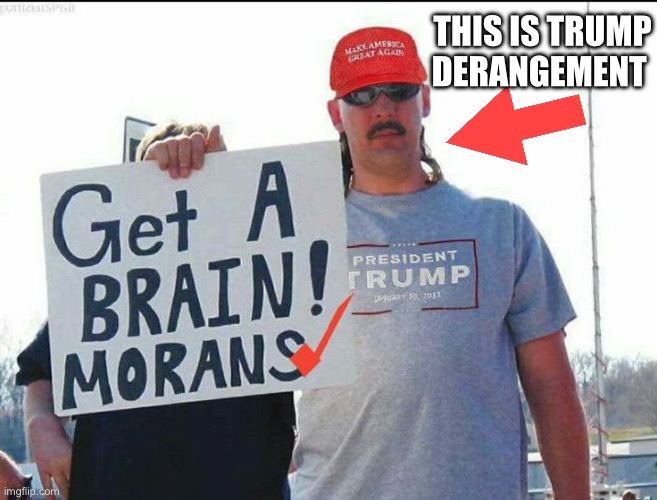 trump supporter | THIS IS TRUMP DERANGEMENT | image tagged in trump supporter | made w/ Imgflip meme maker