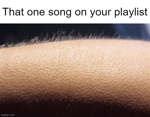 Mmmm, the good chills | That one song on your playlist | image tagged in goosebumps,relatable,music | made w/ Imgflip meme maker