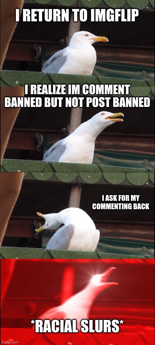 Inhaling Seagull | I RETURN TO IMGFLIP; I REALIZE IM COMMENT BANNED BUT NOT POST BANNED; I ASK FOR MY COMMENTING BACK; *RACIAL SLURS* | image tagged in memes,inhaling seagull | made w/ Imgflip meme maker