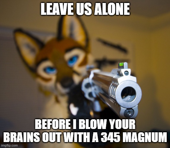 Furry with gun | LEAVE US ALONE BEFORE I BLOW YOUR BRAINS OUT WITH A 345 MAGNUM | image tagged in furry with gun | made w/ Imgflip meme maker