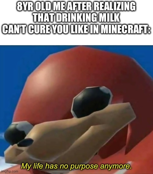 Ugandan Knuckles | 8YR OLD ME AFTER REALIZING THAT DRINKING MILK CAN’T CURE YOU LIKE IN MINECRAFT:; My life has no purpose anymore. | image tagged in ugandan knuckles | made w/ Imgflip meme maker