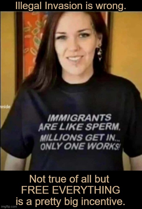 Hmmm . . . | Illegal Invasion is wrong. Not true of all but 
FREE EVERYTHING
is a pretty big incentive. | image tagged in politics,political humor,illegal aliens,wait that's illegal,wrong,invasion | made w/ Imgflip meme maker