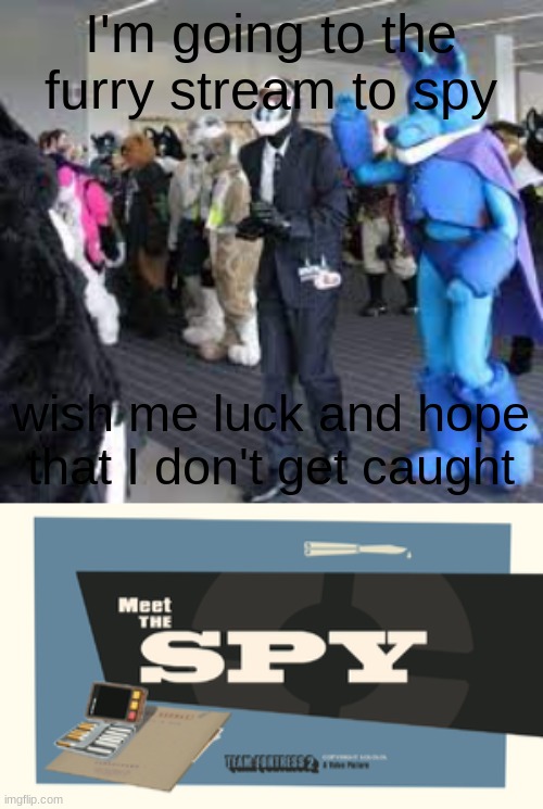 I'm going to the furry stream to spy; wish me luck and hope that I don't get caught | image tagged in meet the spy | made w/ Imgflip meme maker