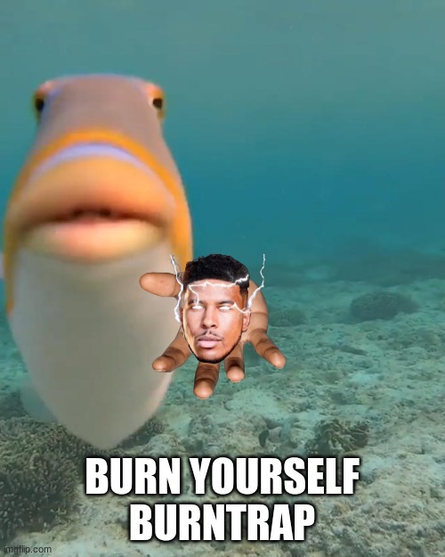 staring fish | BURN YOURSELF BURNTRAP | image tagged in staring fish | made w/ Imgflip meme maker