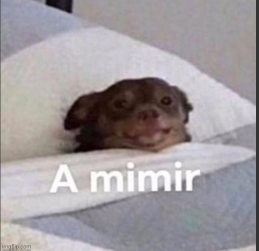 Ight gn chat | made w/ Imgflip meme maker