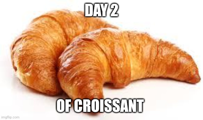 Croissant, Day 2 | DAY 2; OF CROISSANT | image tagged in croissant,food memes | made w/ Imgflip meme maker