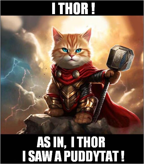 One Mythic Cat ! | I THOR ! AS IN,  I THOR
  I SAW A PUDDYTAT ! | image tagged in cats,thor,song lyrics | made w/ Imgflip meme maker