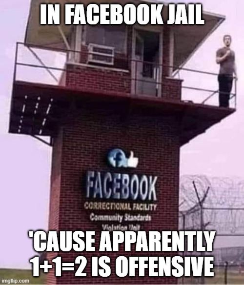 Facebook Prison | IN FACEBOOK JAIL; 'CAUSE APPARENTLY 1+1=2 IS OFFENSIVE | image tagged in facebook prison | made w/ Imgflip meme maker