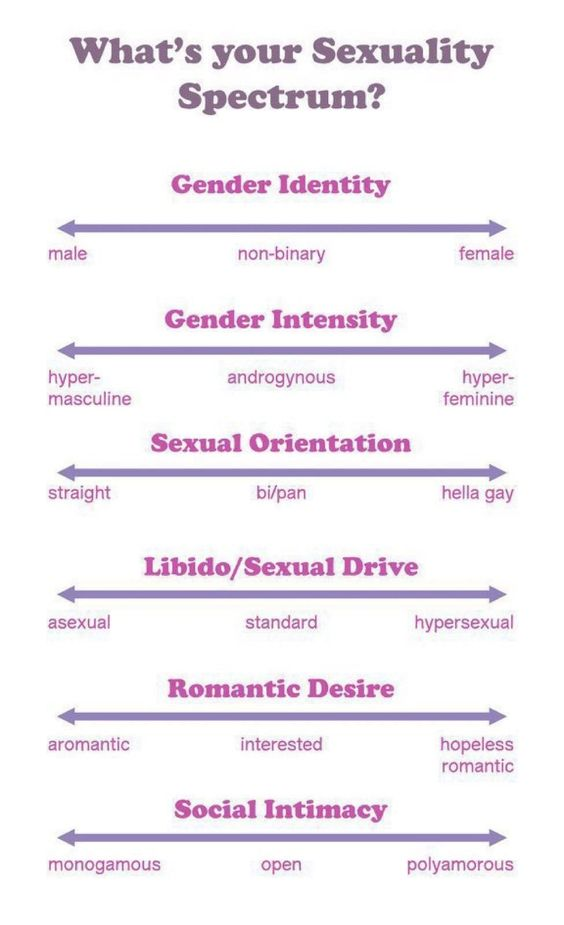 What's your sexuality spectrum? Blank Meme Template
