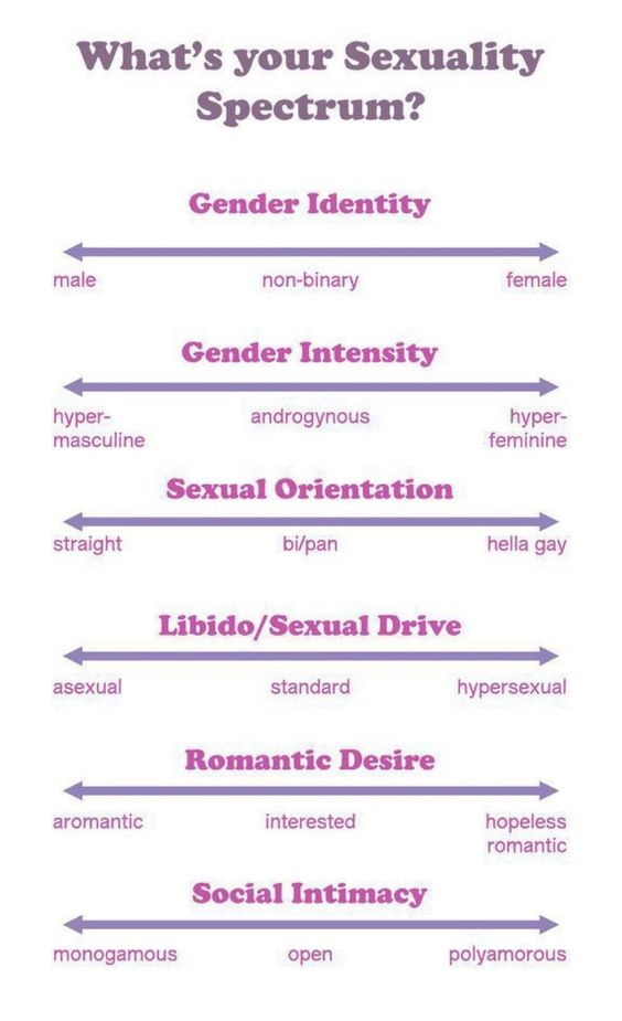 High Quality What's your sexuality spectrum? Blank Meme Template