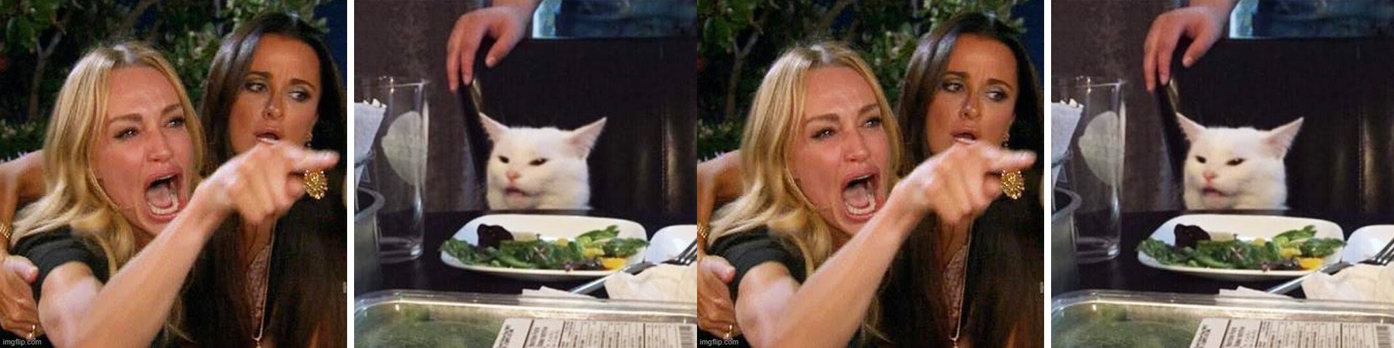 High Quality Cat vs Woman 4 Panels Blank Meme Template