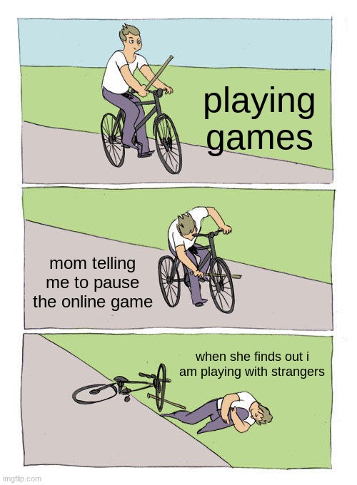 they never understand | playing games; mom telling me to pause the online game; when she finds out i am playing with strangers | image tagged in memes,bike fall | made w/ Imgflip meme maker