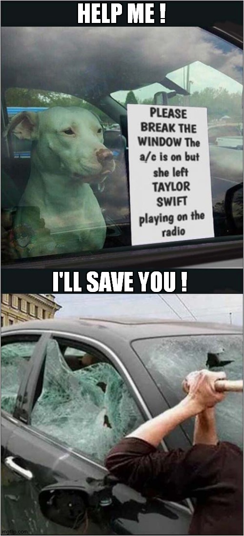 Dog Not A 'Swiftie' ! | HELP ME ! I'LL SAVE YOU ! | image tagged in save me,dog,taylor swiftie,dark humour | made w/ Imgflip meme maker