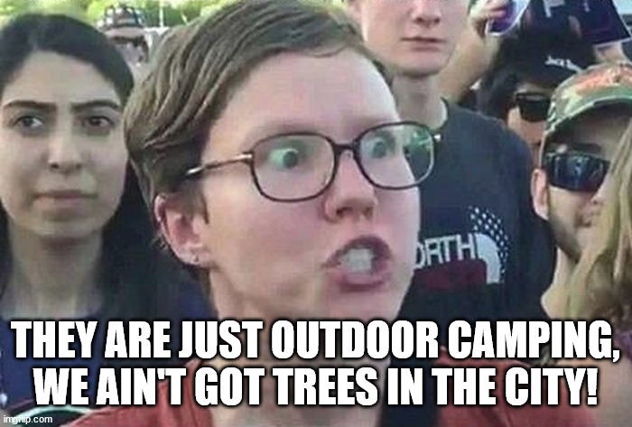 Triggered Liberal | THEY ARE JUST OUTDOOR CAMPING, WE AIN'T GOT TREES IN THE CITY! | image tagged in triggered liberal | made w/ Imgflip meme maker