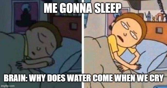 really want to known comment plz | ME GONNA SLEEP; BRAIN: WHY DOES WATER COME WHEN WE CRY | image tagged in rick and morty sleeping meme,sleep,funny | made w/ Imgflip meme maker