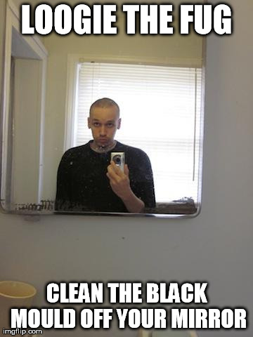 LOOGIE THE FUG CLEAN THE BLACK MOULD OFF YOUR MIRROR | image tagged in loogie the fug | made w/ Imgflip meme maker