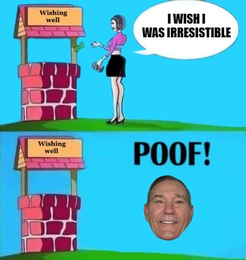 wishing wells don't lie | I WISH I WAS IRRESISTIBLE | image tagged in wishing well,kewlew,kewlew the best looking man on earth | made w/ Imgflip meme maker