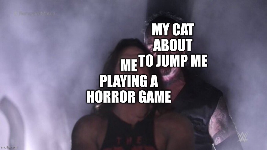 Horror | MY CAT ABOUT TO JUMP ME; ME PLAYING A HORROR GAME | image tagged in aj styles undertaker | made w/ Imgflip meme maker
