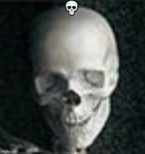 Skull | ? | image tagged in skull | made w/ Imgflip meme maker