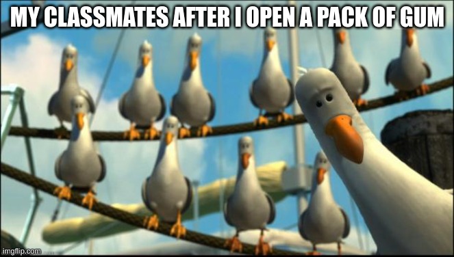 gum | MY CLASSMATES AFTER I OPEN A PACK OF GUM | image tagged in nemo seagulls mine | made w/ Imgflip meme maker