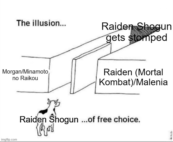 Illusion of free choice | Raiden Shogun gets stomped; Morgan/Minamoto no Raikou; Raiden (Mortal Kombat)/Malenia; Raiden Shogun | image tagged in illusion of free choice | made w/ Imgflip meme maker