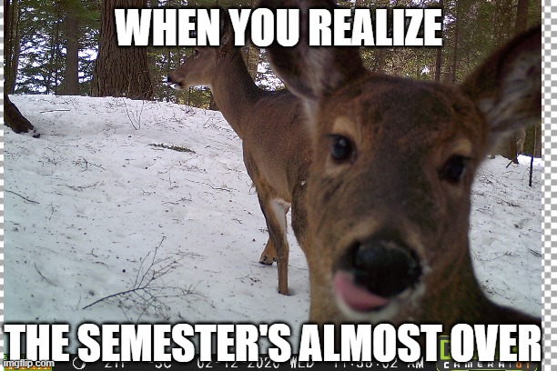 WHEN YOU REALIZE; THE SEMESTER'S ALMOST OVER | made w/ Imgflip meme maker