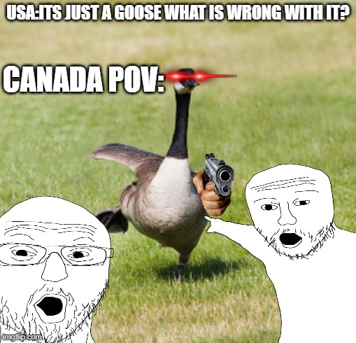 comedic purposes only :) | USA:ITS JUST A GOOSE WHAT IS WRONG WITH IT? CANADA POV: | image tagged in canada goose | made w/ Imgflip meme maker