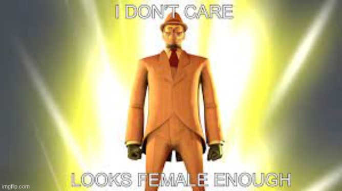 image tagged in looks female enough | made w/ Imgflip meme maker