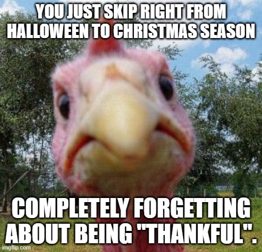Angry turkey | YOU JUST SKIP RIGHT FROM HALLOWEEN TO CHRISTMAS SEASON; COMPLETELY FORGETTING ABOUT BEING "THANKFUL". | image tagged in angry turkey | made w/ Imgflip meme maker