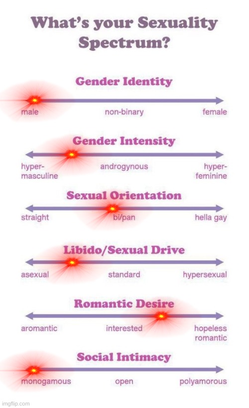 I'm only doing this 'cuz someone else done it, and 'cuz I'm bored :/ | image tagged in what's your sexuality spectrum,repost,fresh memes,meh | made w/ Imgflip meme maker