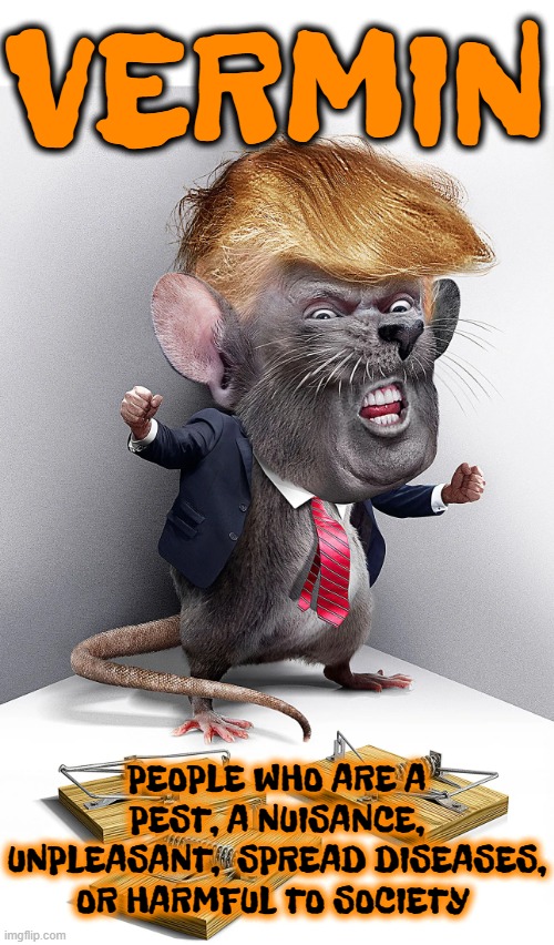 VERMIN | VERMIN; PEOPLE WHO ARE A PEST, A NUISANCE, UNPLEASANT,  SPREAD DISEASES, OR HARMFUL TO SOCIETY | image tagged in vermin,pest,nuisance,unpleasant,rat,swindler | made w/ Imgflip meme maker