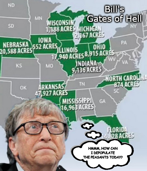 Bill's Gates to Hell | Bill's Gates of Hell; HMMM, HOW CAN I DEPOPULATE THE PEASANTS TODAY? | image tagged in politics,memes,billgates,depopulation | made w/ Imgflip meme maker