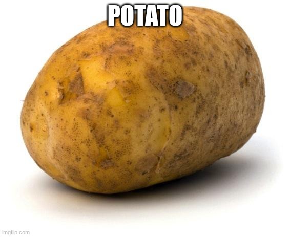 potato | POTATO | image tagged in i am a potato,memes | made w/ Imgflip meme maker