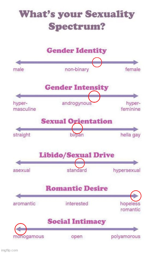 Sexuality Spectrum | image tagged in what's your sexuality spectrum | made w/ Imgflip meme maker