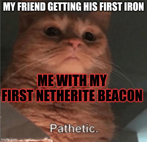 Pathetic Cat | MY FRIEND GETTING HIS FIRST IRON; ME WITH MY FIRST NETHERITE BEACON | image tagged in pathetic cat,minecraft | made w/ Imgflip meme maker