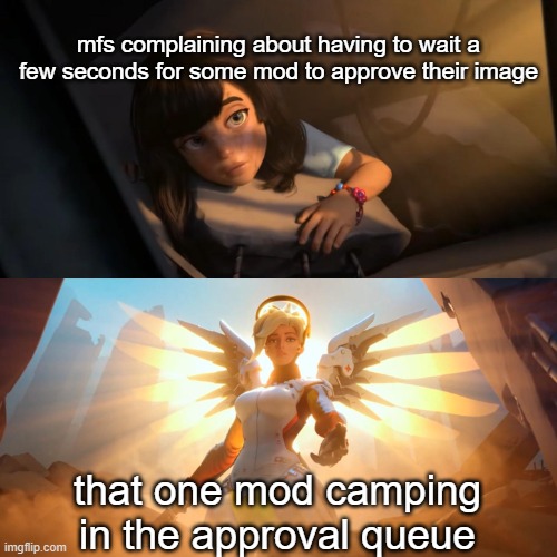 n | mfs complaining about having to wait a few seconds for some mod to approve their image; that one mod camping in the approval queue | made w/ Imgflip meme maker